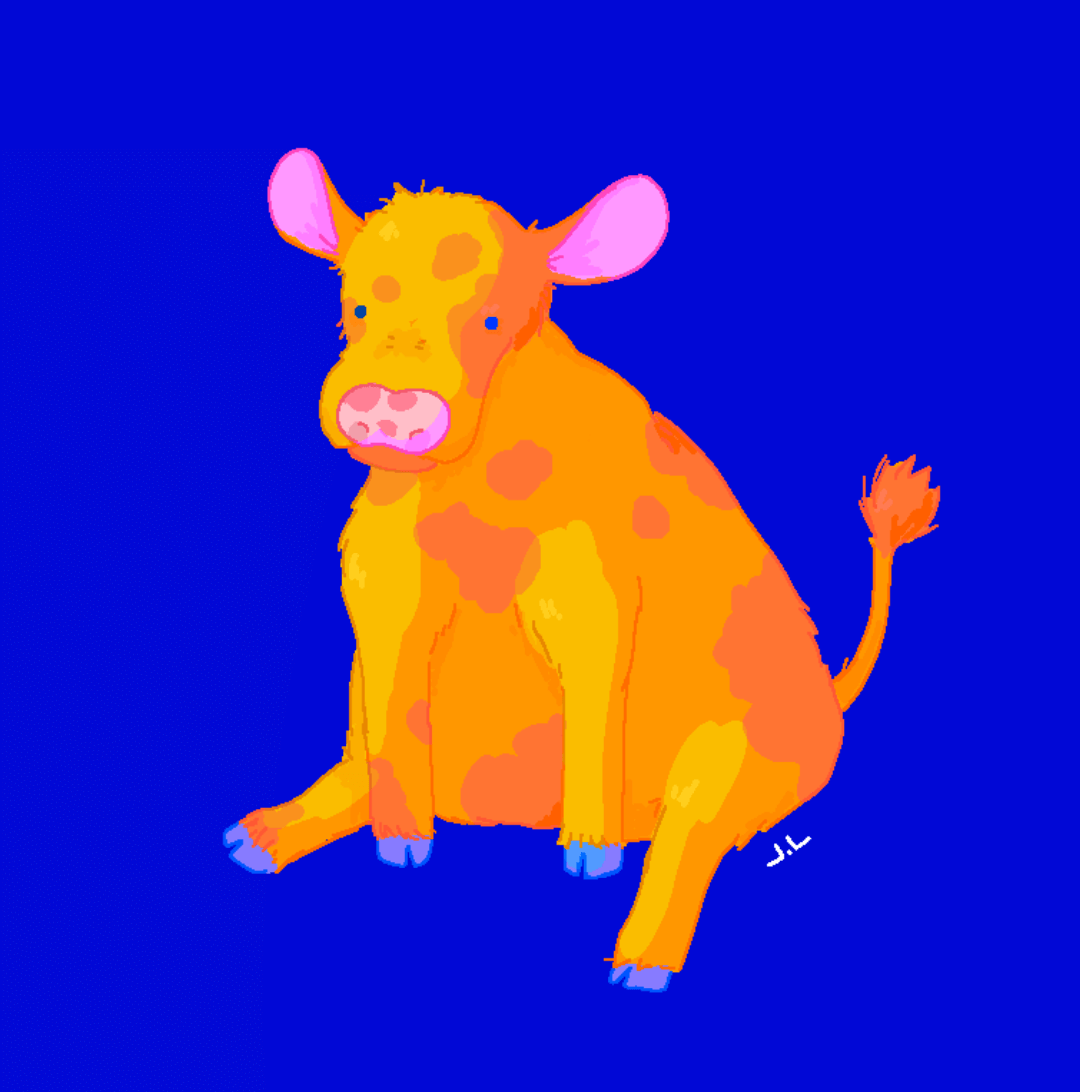 Cute cow